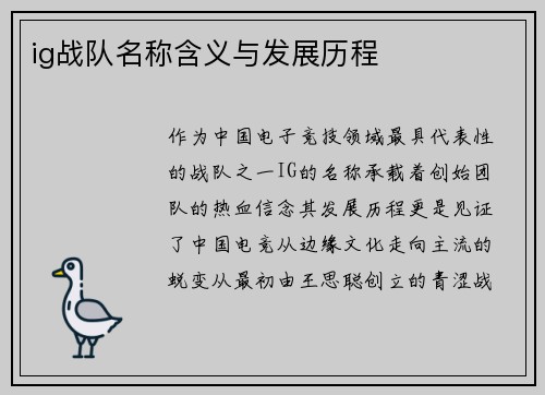 ig战队名称含义与发展历程
